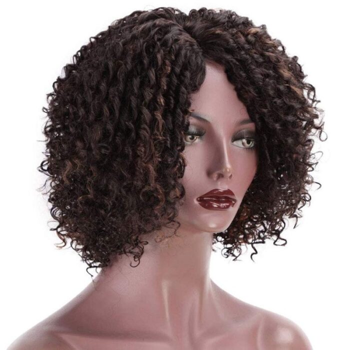 Short Afro Kinkys Curly Hair Wig Afro Wig Short Brown Synthetic Afro Curly Hair Wigs for Women Side Part Wig - 图片 3