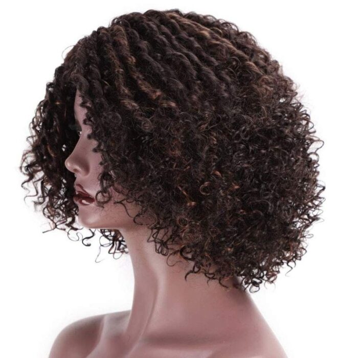 Short Afro Kinkys Curly Hair Wig Afro Wig Short Brown Synthetic Afro Curly Hair Wigs for Women Side Part Wig - 图片 8