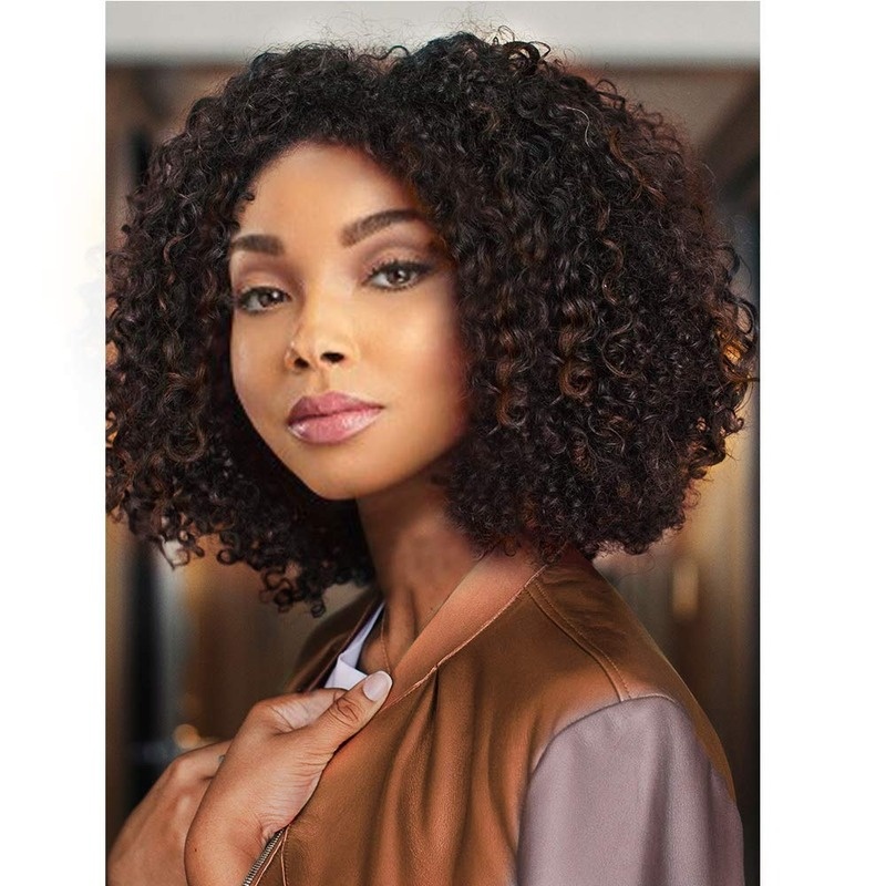 Short Afro Kinkys Curly Hair Wig Afro Wig Short Brown Synthetic Afro Curly Hair Wigs for Women Side Part Wig